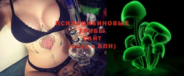 таблы Ельня