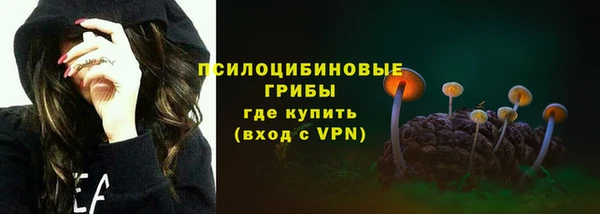 мдма Елизово