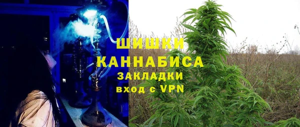 таблы Ельня